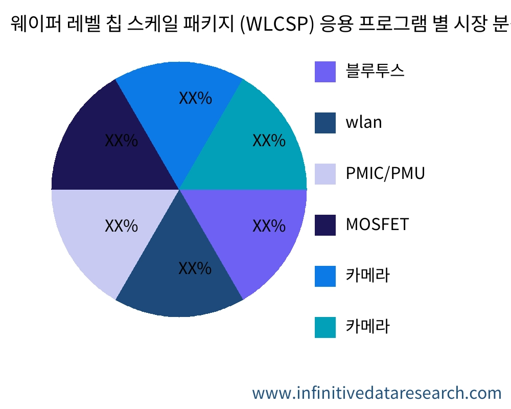 웨이퍼 레벨 칩 스케일 패키지 (WLCSP) 응용 프로그램별 시장 - Infinitive Data Research