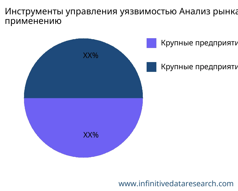 Инструменты управления уязвимостью рынок по применению - Infinitive Data Research